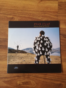 PINK Floyd / Delicate Sound Of Thunder SLPXL 37256-57