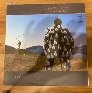Pink Floyd / Delicate Sound Of Thunder - Dupla LP