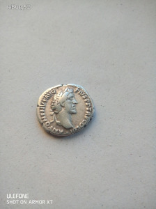 Antoninus Pius  dénár.
