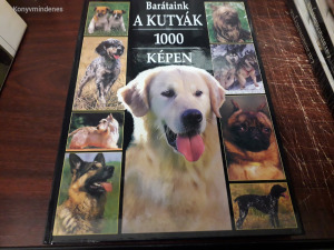 Barátaink a kutyák 1000 képen