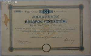 Budafoki Vízvezetéki Részvénytársaság 100 korona részvény 1899