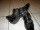 Cango&Rinaldi női cipő (meghosszabbítva: 3133717700) - Vatera.hu Kép