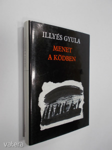 Illyés Gyula: Menet a ködben (*010) (meghosszabbítva: 3265381064) - Vatera.hu Kép