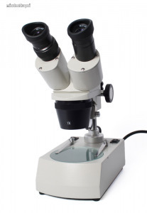 XTD-6C-LED sztereo mikroszkóp
