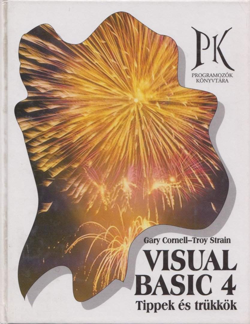 Visual Basic 4