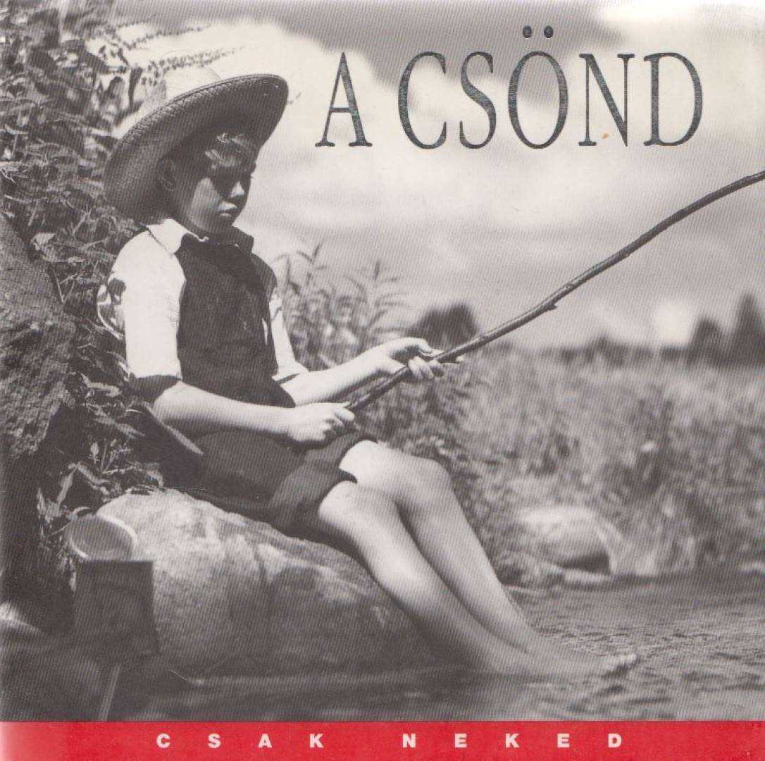 A csönd