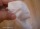 újszerű fehér erősebb szálú lányka rózsaszín virágmintás nylon harisnyanadrág 98-104-110-116 Kép