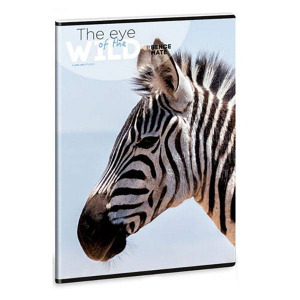 The Eyes of the Wild állatos vonalas füzet - A4 - Máté Bence képével - zebra