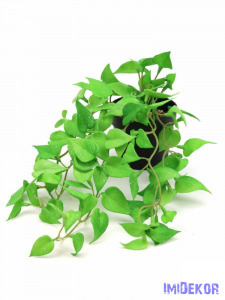 Cserepes real touch csüngős növény 64 - Foltos Zöld
