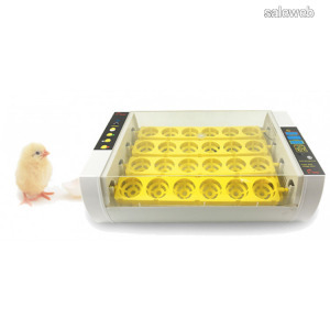 Automatikus digitális tojáskeltető YZ24A
