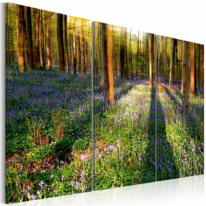 Kép - Tavaszi erdő 1 90x60