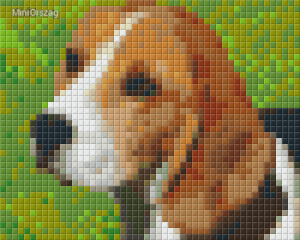 Pixel szett 1 normál alaplappal, színekkel, kutya, beagle (801312)