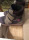 Használt, jó minőségű SZAMOS téli gyerekcipő (33-as, bundás) Kép