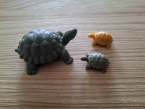 die schildkrötenfamilie  TIE