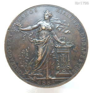 Országos Általános Kiállítás 1885 - Az érdem jeléül - névre szóló érem: Rubin Adolf - bronz, 142,5 g