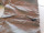 146/152, 158/164 -es  Donnay Hiking Tour gyerek túra rövidnadrág Kép