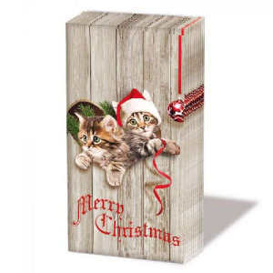 Karácsonyi cicás papírzsebkendő - Curious Kittens