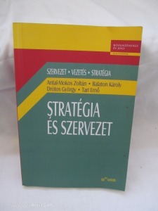 Antal-Mokos Zoltán: Stratégia és szervezet(9)