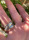 Különleges több soros ezüst gyűrű (meghosszabbítva: 3196310048) - Vatera.hu Kép