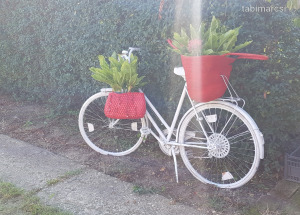 virágtart dísz kerékpár