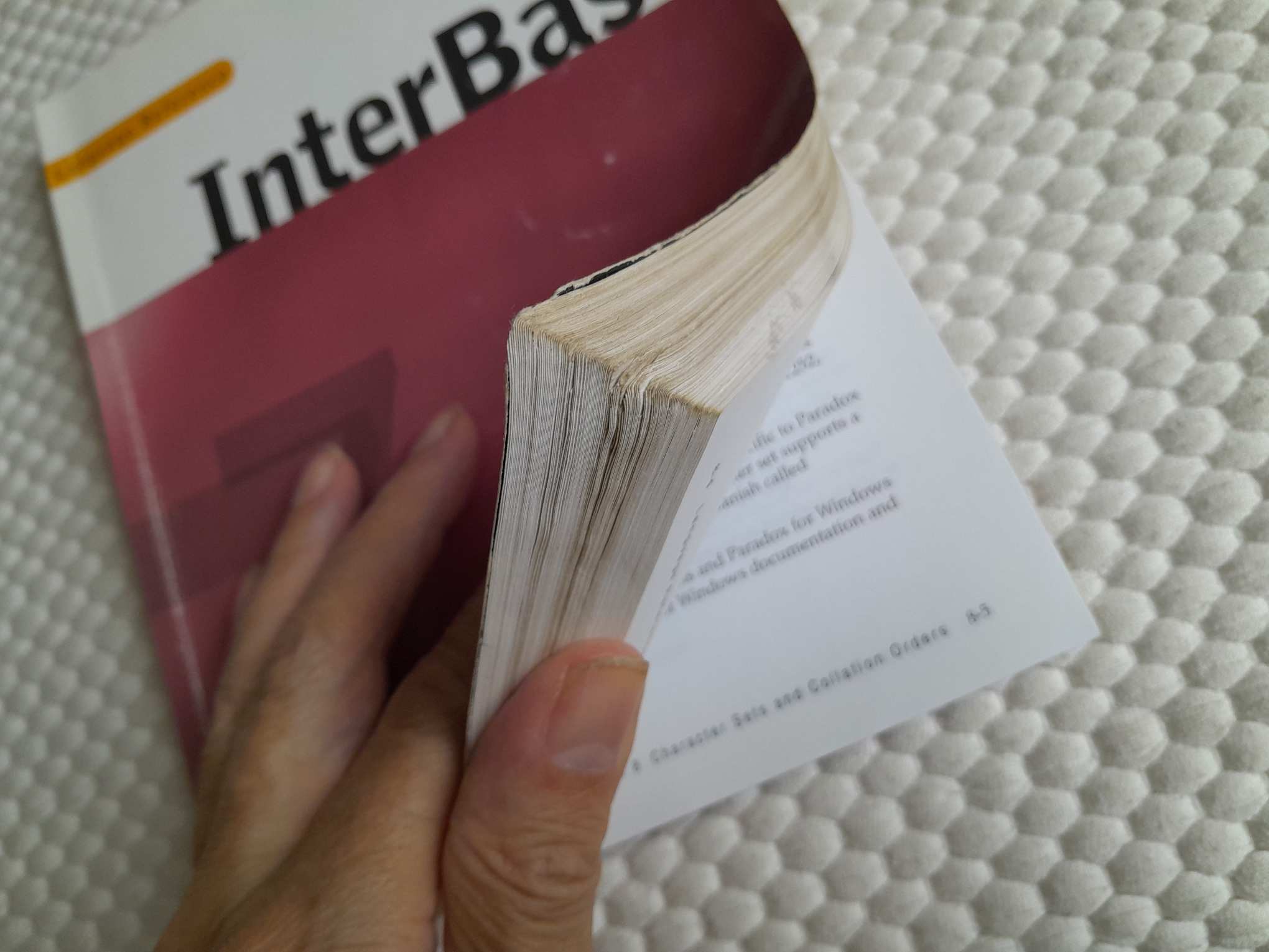 Interbase language Reference