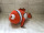 Disney Nemo: 26 cm (meghosszabbítva: 3196336241) - Vatera.hu Kép