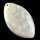 ÁSVÁNY-ÉKSZER-FOSSZÍLIA ~ 20 millió éves korall fosszília medál, saját gyűjtis darab F96597 Kép