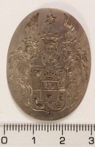 Nemesi címeres rátét / applikáció, azonosítatlan (nagyméretű, valószínűleg ezüst)