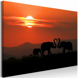 Kép - Szerelmes elefántok (széles 1 darabban) 60x40