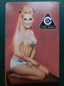Centrum Áruházak - bikinis erotikus, szép női modell. Kártyanaptár, 1970.