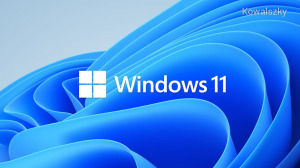 Microsoft Windows 11 Pro 64bit HUN DVD FQC-10537