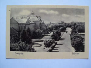 Csongrád, Béke tér, 1955.